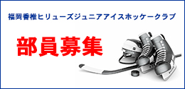 福岡香椎ヒリューズ部員募集